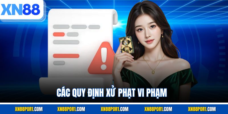 Các quy định xử phạt vi phạm