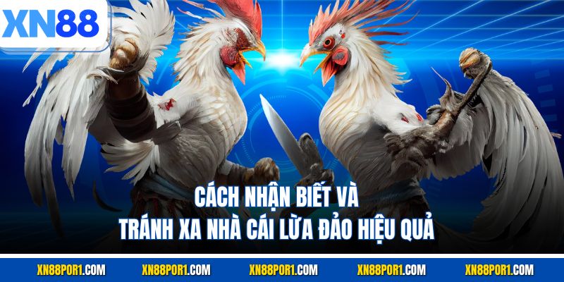 Cách nhận biết và tránh xa nhà cái lừa đảo hiệu quả