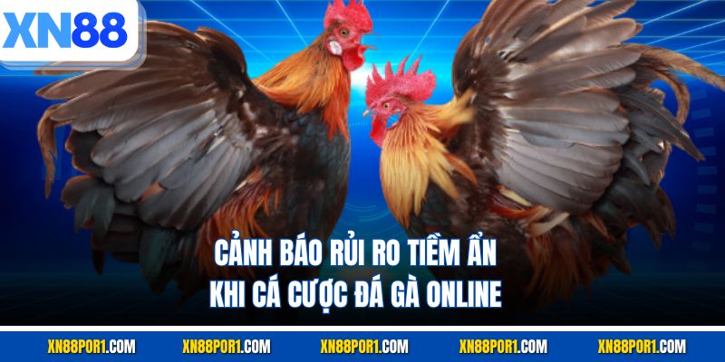 Rủi Ro Đá Gà Online XN88 - Sai Lầm Hay Gặp Của Người Mới