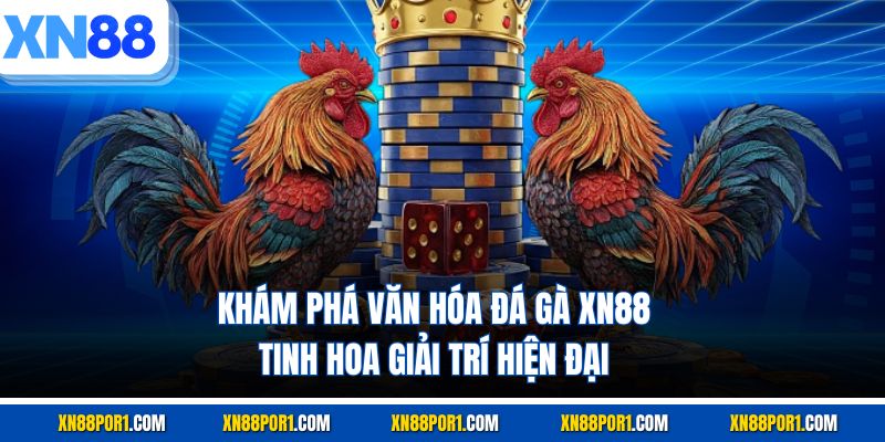 Khám Phá Văn Hóa Đá Gà XN88 – Tinh Hoa Giải Trí Hiện Đại