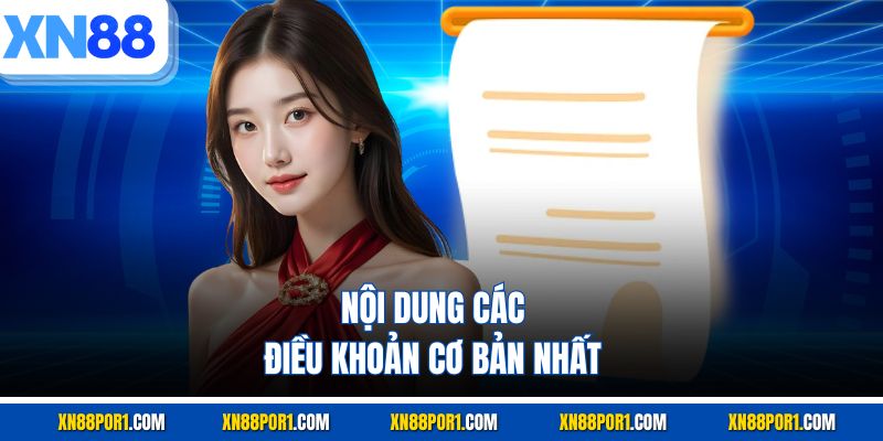 Nội dung các điều khoản cơ bản nhất