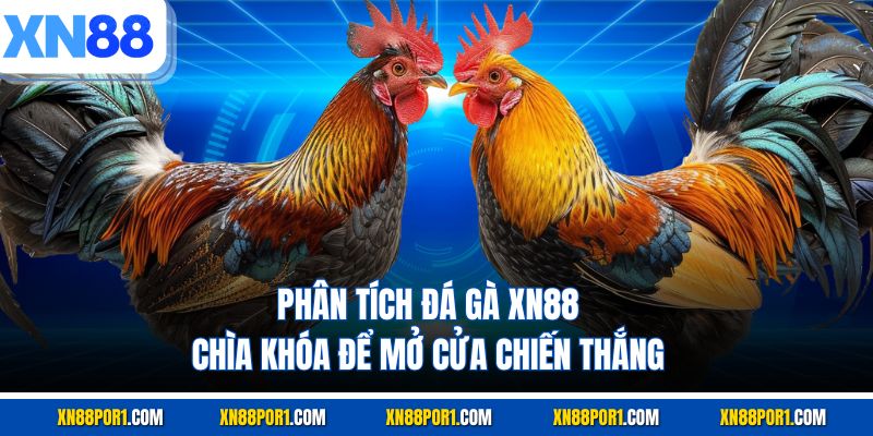 Phân Tích Đá Gà XN88 – Chìa Khóa Để Mở Cửa Chiến Thắng
