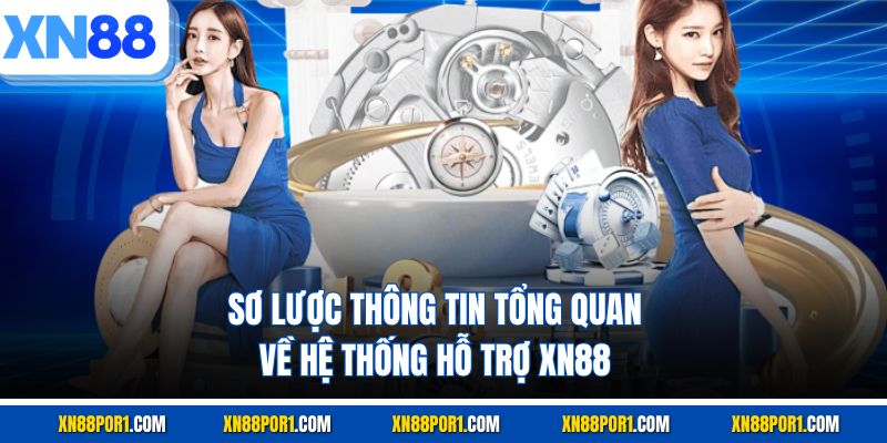 Sơ lược thông tin tổng quan về hệ thống hỗ trợ XN88